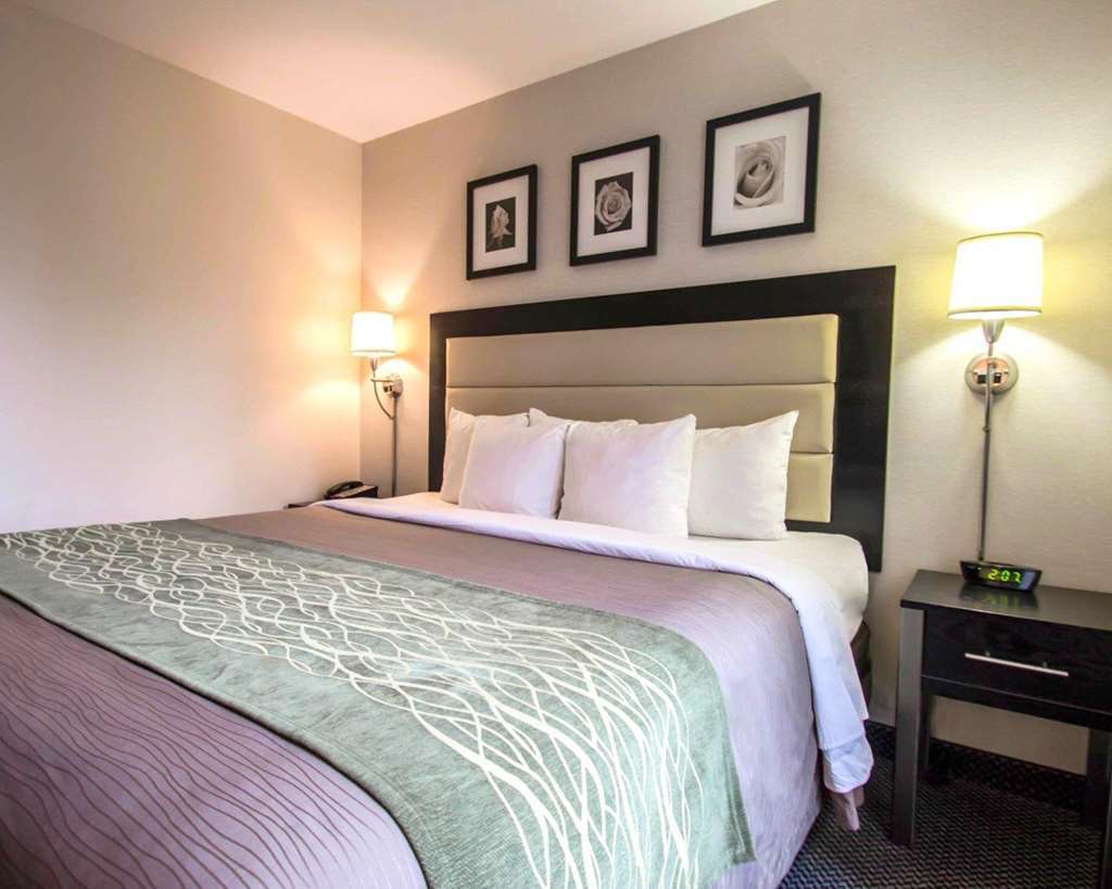 Comfort Inn Times Square South Area New York Chambre photo